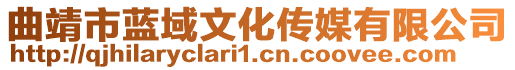 曲靖市藍(lán)域文化傳媒有限公司