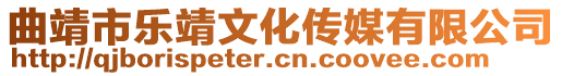 曲靖市樂靖文化傳媒有限公司