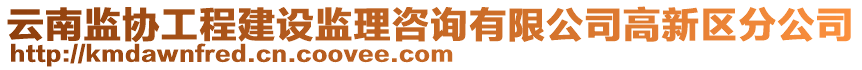 云南監(jiān)協(xié)工程建設(shè)監(jiān)理咨詢有限公司高新區(qū)分公司