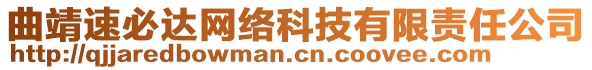 曲靖速必達(dá)網(wǎng)絡(luò)科技有限責(zé)任公司