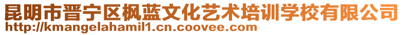 昆明市晉寧區楓藍文化藝術培訓學校有限公司