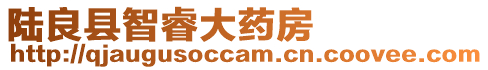陸良縣智睿大藥房