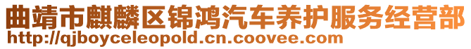 曲靖市麒麟?yún)^(qū)錦鴻汽車(chē)養(yǎng)護(hù)服務(wù)經(jīng)營(yíng)部