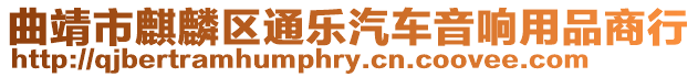 曲靖市麒麟?yún)^(qū)通樂汽車音響用品商行
