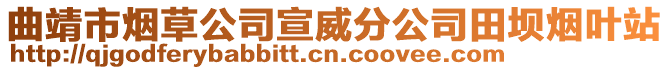 曲靖市煙草公司宣威分公司田壩煙葉站