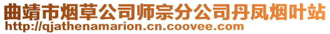 曲靖市煙草公司師宗分公司丹鳳煙葉站