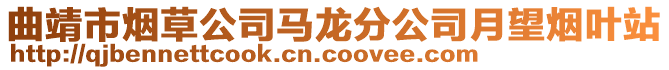 曲靖市煙草公司馬龍分公司月望煙葉站