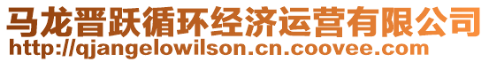 馬龍晉躍循環(huán)經(jīng)濟(jì)運(yùn)營有限公司