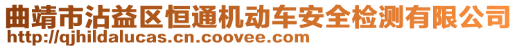 曲靖市沾益區(qū)恒通機動車安全檢測有限公司