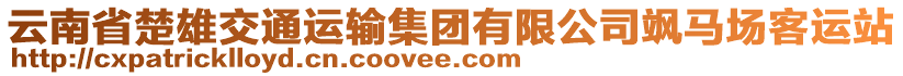 云南省楚雄交通運(yùn)輸集團(tuán)有限公司颯馬場客運(yùn)站