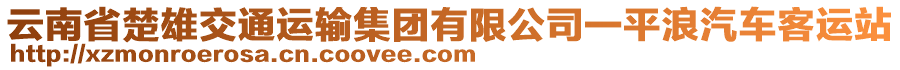 云南省楚雄交通運輸集團有限公司一平浪汽車客運站