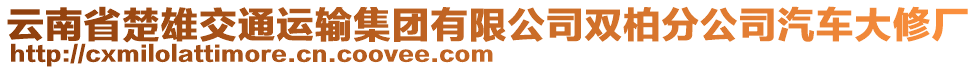 云南省楚雄交通運(yùn)輸集團(tuán)有限公司雙柏分公司汽車大修廠