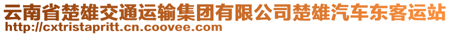 云南省楚雄交通運(yùn)輸集團(tuán)有限公司楚雄汽車東客運(yùn)站