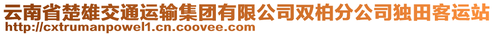 云南省楚雄交通運輸集團有限公司雙柏分公司獨田客運站