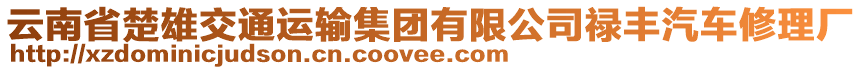 云南省楚雄交通運(yùn)輸集團(tuán)有限公司祿豐汽車修理廠