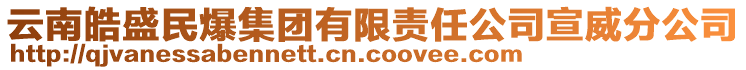 云南皓盛民爆集團有限責任公司宣威分公司