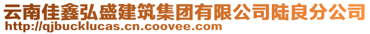 云南佳鑫弘盛建筑集團有限公司陸良分公司