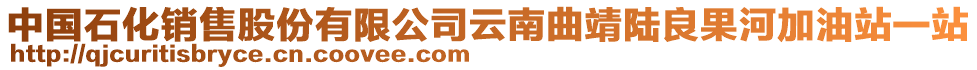 中國石化銷售股份有限公司云南曲靖陸良果河加油站一站