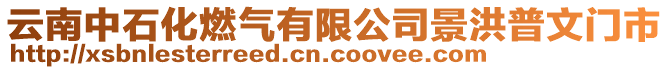 云南中石化燃氣有限公司景洪普文門市