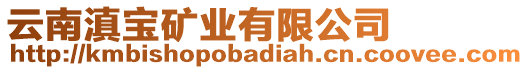 云南滇寶礦業(yè)有限公司