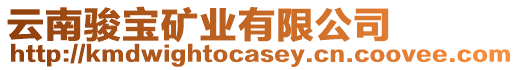 云南駿寶礦業(yè)有限公司