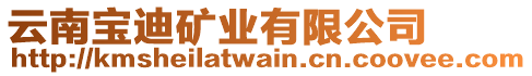 云南寶迪礦業(yè)有限公司