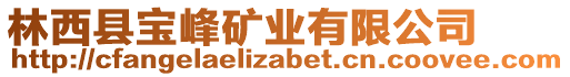 林西縣寶峰礦業(yè)有限公司