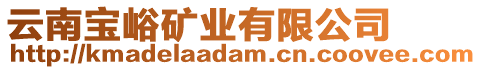 云南寶峪礦業(yè)有限公司