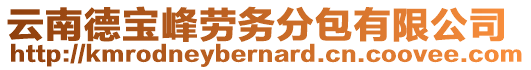 云南德寶峰勞務分包有限公司