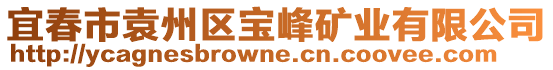 宜春市袁州區(qū)寶峰礦業(yè)有限公司