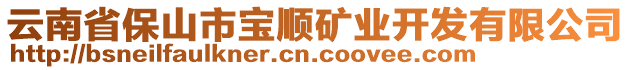 云南省保山市寶順礦業(yè)開發(fā)有限公司