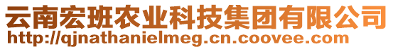 云南宏班農(nóng)業(yè)科技集團(tuán)有限公司