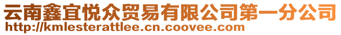 云南鑫宜悅眾貿易有限公司第一分公司