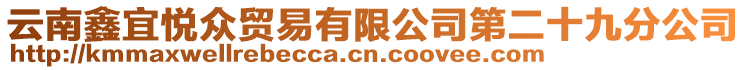 云南鑫宜悅眾貿(mào)易有限公司第二十九分公司