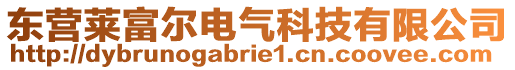 東營(yíng)萊富爾電氣科技有限公司