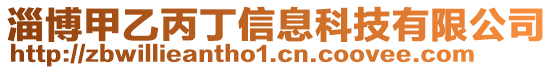 淄博甲乙丙丁信息科技有限公司