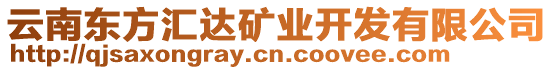 云南東方匯達(dá)礦業(yè)開(kāi)發(fā)有限公司