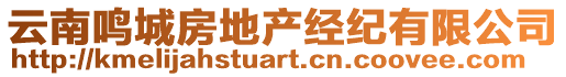 云南鳴城房地產(chǎn)經(jīng)紀(jì)有限公司