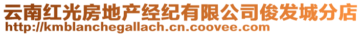 云南紅光房地產(chǎn)經(jīng)紀(jì)有限公司俊發(fā)城分店