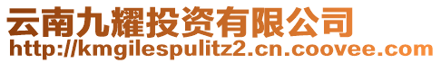 云南九耀投資有限公司