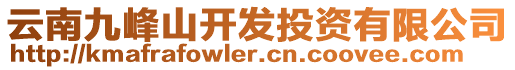 云南九峰山開發(fā)投資有限公司