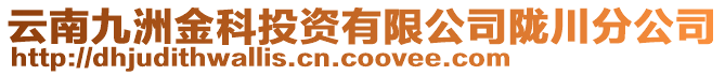 云南九洲金科投資有限公司隴川分公司