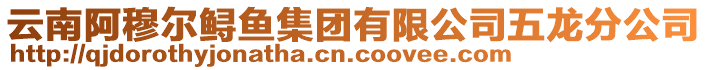 云南阿穆?tīng)桏\魚(yú)集團(tuán)有限公司五龍分公司