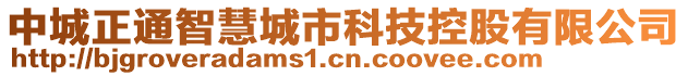 中城正通智慧城市科技控股有限公司