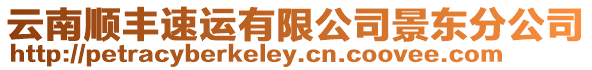 云南順豐速運有限公司景東分公司