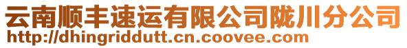 云南順豐速運有限公司隴川分公司