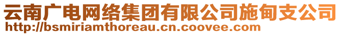 云南廣電網(wǎng)絡(luò)集團(tuán)有限公司施甸支公司