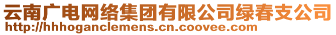 云南廣電網(wǎng)絡(luò)集團(tuán)有限公司綠春支公司