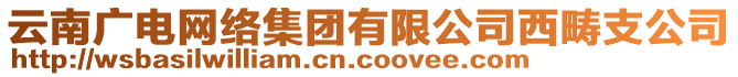 云南廣電網絡集團有限公司西疇支公司