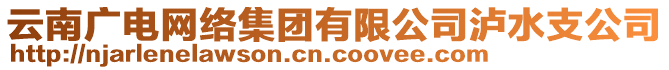 云南廣電網(wǎng)絡集團有限公司瀘水支公司